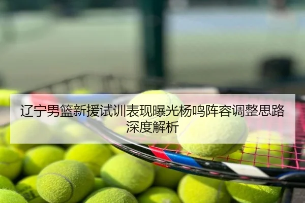 辽宁男篮新援试训表现曝光杨鸣阵容调整思路深度解析