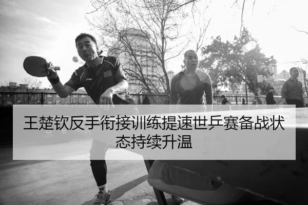 王楚钦反手衔接训练提速世乒赛备战状态持续升温