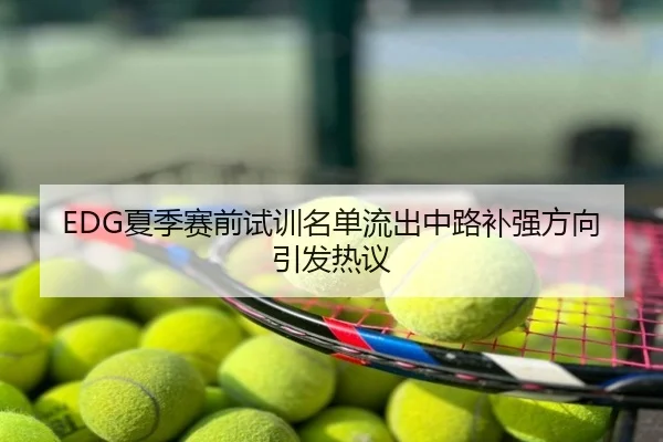 EDG夏季赛前试训名单流出中路补强方向引发热议